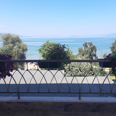 Apartment Plaisir Pogradec Exterior foto